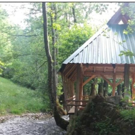 Hotel Eco Camp Dzogaska Vrela Pljevlja Esterno foto