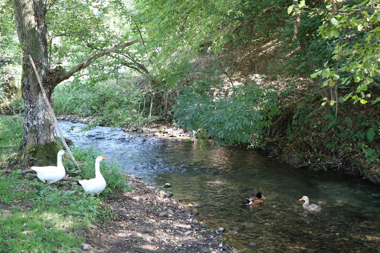 Hotel Eco Camp Dzogaska Vrela Pljevlja Esterno foto