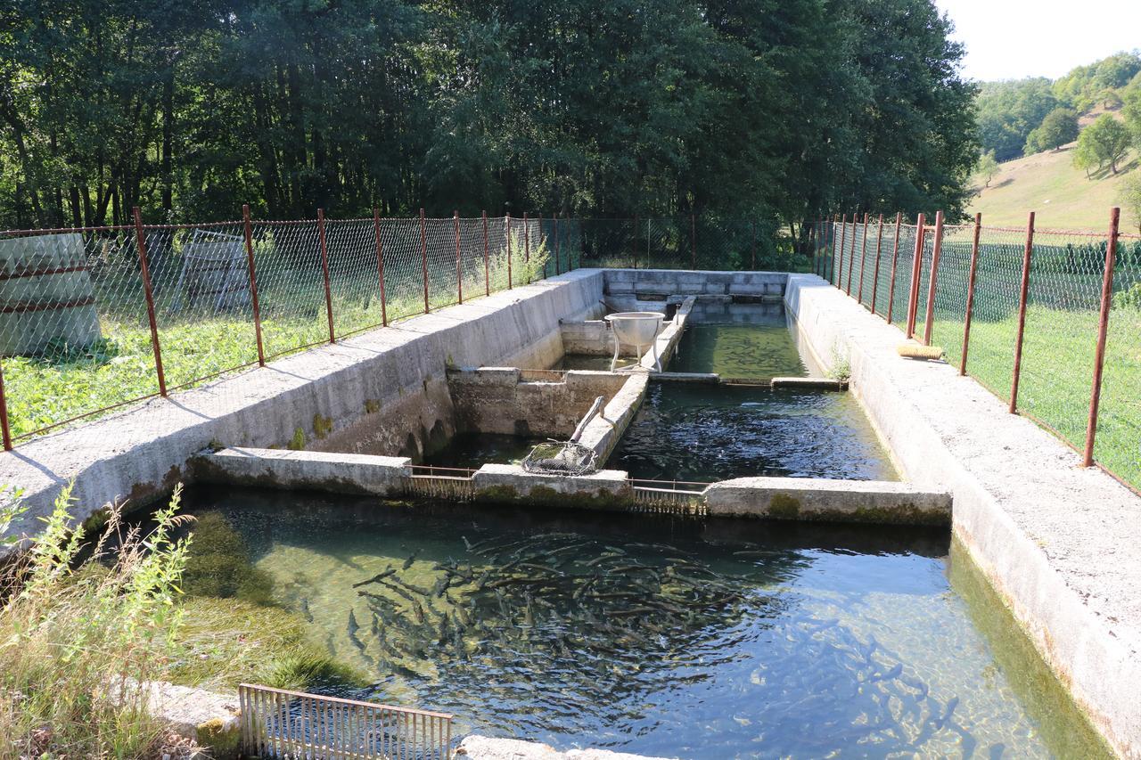 Hotel Eco Camp Dzogaska Vrela Pljevlja Esterno foto