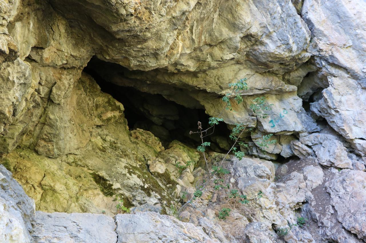 Hotel Eco Camp Dzogaska Vrela Pljevlja Esterno foto
