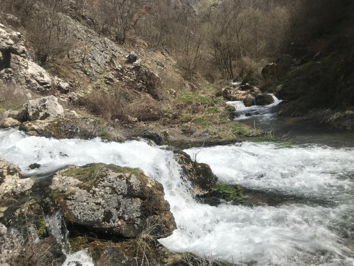 Hotel Eco Camp Dzogaska Vrela Pljevlja Esterno foto