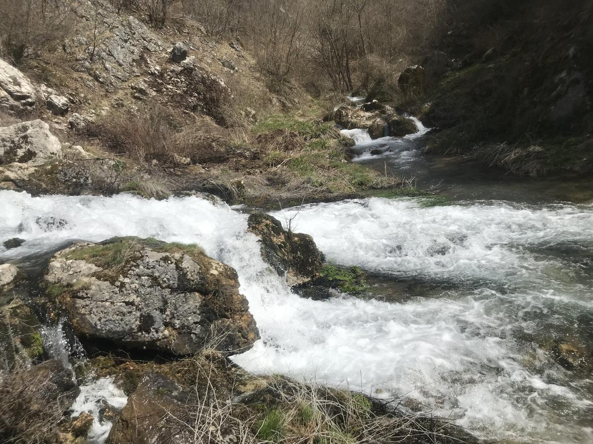 Hotel Eco Camp Dzogaska Vrela Pljevlja Esterno foto