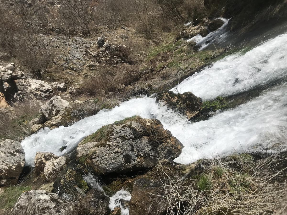 Hotel Eco Camp Dzogaska Vrela Pljevlja Esterno foto