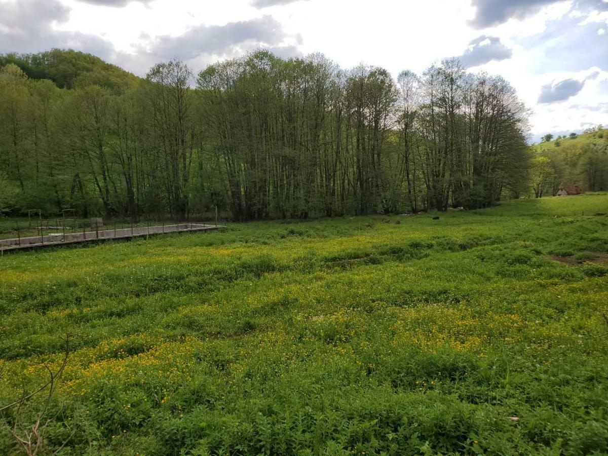 Hotel Eco Camp Dzogaska Vrela Pljevlja Esterno foto